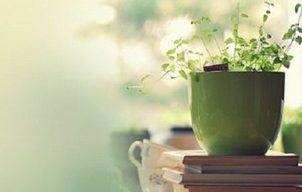 知网分解论文检测系统的特点